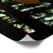 Brotfruchtbaum Poster (Ecke)