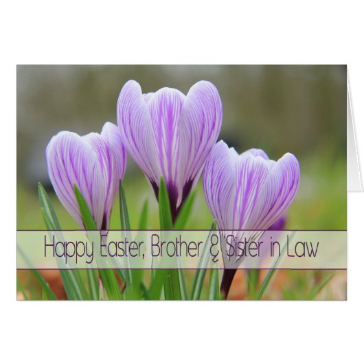 Brother & Ehefrau Happy Oaster Lila Crocses (Vorderseite (Horizontal))