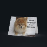 "BROTHER" GLÜCKLICHER GEBURTSTAG SAGT DER SPITZ KARTE<br><div class="desc">SAGEN SIE "IHR BRUDER GLÜCKLICH GEBURTSTAG"... .Dieser SPITZ hat so viel Spaß im Schnee und hofft,  dass der Empfänger dieser Karte einen FUN BIRTHDAY haben wird!</div>