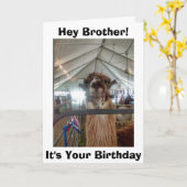 *BROTHER* LLAMA SPASS AM GEBURTSTAG KARTE (Gelbe Blume)