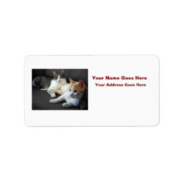 Brother & Sister Kitties Adressaufkleber