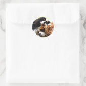 Brothers Cavaliers Runder Aufkleber (Tasche)