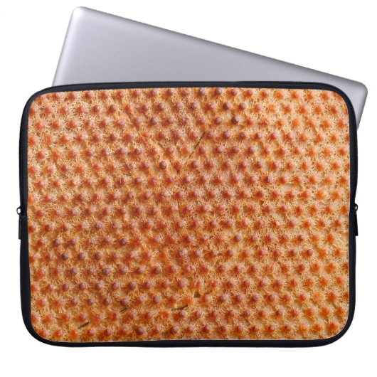 Brotstruktur mit vielen Punkten (nach dem Kochen a Laptopschutzhülle (Vorderseite)