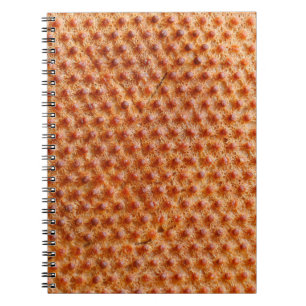 Brottextur mit vielen Punkten (nach dem Kochen auf Notizblock