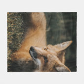 BROWER FOX AUF DEM BODEN FLEECEDECKE (Vorderseite (Horizontal))
