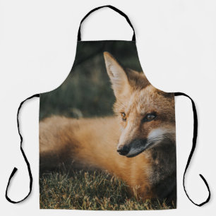 BROWER FOX AUF DEM BODEN SCHÜRZE