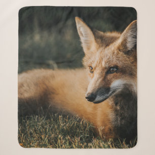 BROWER FOX AUF DEM BODEN SHERPADECKE