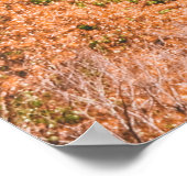 BROWES UND WEISS KONKRETES GEBÄUDE UNTER BLAUEM HI POSTER (Ecke)