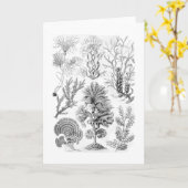 Brown-Algen Karte (Gelbe Blume)