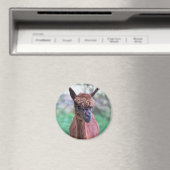 Brown Alpaca Magnet (In Situ (Geschirrspüler))