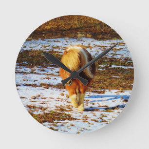 Brown and cream miniature horse in the snow. runde wanduhr