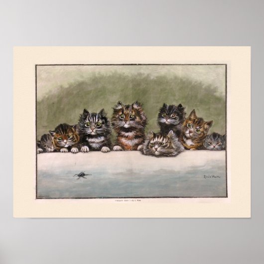 Brown and Grey Tabby Kittens Poster (Vorne)
