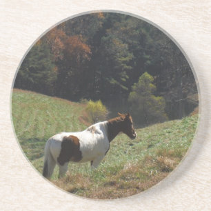 Brown and white horse at autumn pond sandstein untersetzer