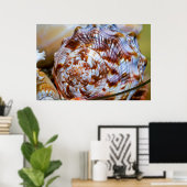 Brown and White Seashell Poster (Heimbüro)