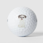 Brown and White Shih Tzu Golfball (Vorderseite)