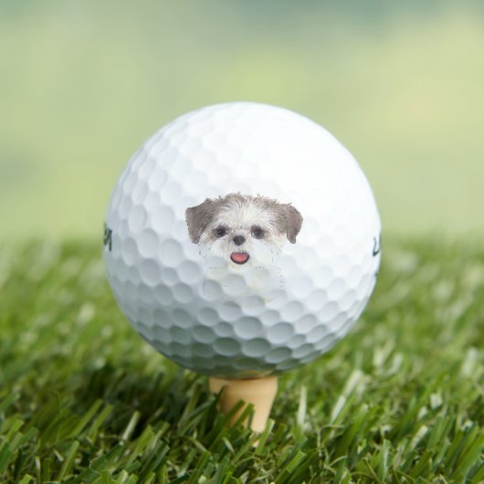 Brown and White Shih Tzu Golfball (Insitu T-Shirt)
