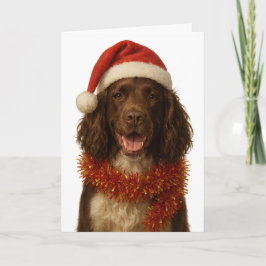 Brown and white Sprocker Spaniel Christmas card Karte