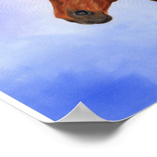 Brown Andalusien Poster (Ecke)