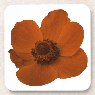 Brown Anemone Cork Untersetzer