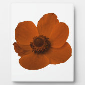 Brown Anemone Plaque Fotoplatte (Vorderseite)
