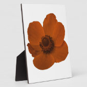 Brown Anemone Plaque Fotoplatte (Seite)