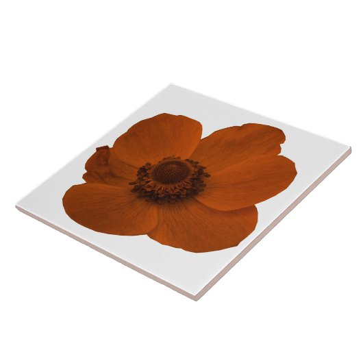Brown Anemone Tile Fliese (Seite)