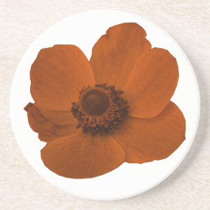Brown Anemone Untersetzer