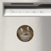 Brown Angora Cat Magnet (In Situ (Geschirrspüler))