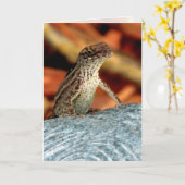Brown Anole (Lizard) Grußkarte Karte (Gelbe Blume)