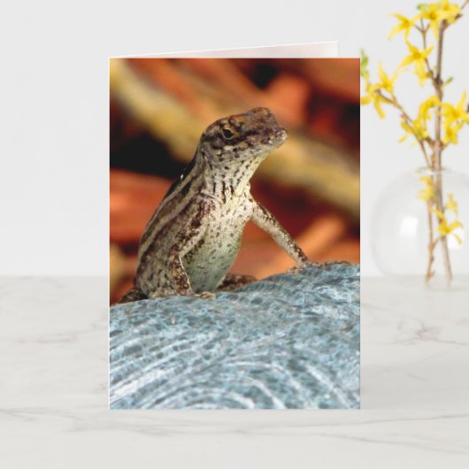 Brown Anole (Lizard) Grußkarte Karte (Gelbe Blume)