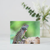 Brown Anole Lizard Postcard Postkarte (Stehend Vorderseite)