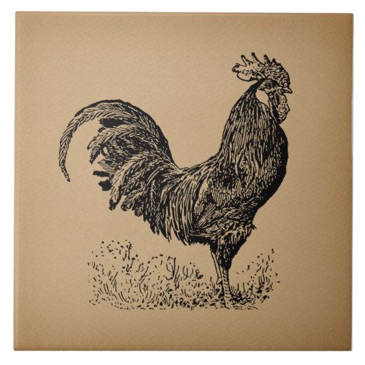 Brown Antique Rooster Illustration Hühnerparadies Fliese (Vorderseite)