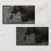 Brown-Bär, der auf Lachsen füttert Visitenkarte (Vorne/Hinten)