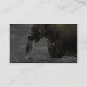 Brown-Bär, der auf Lachsen füttert Visitenkarte (Rückseite)