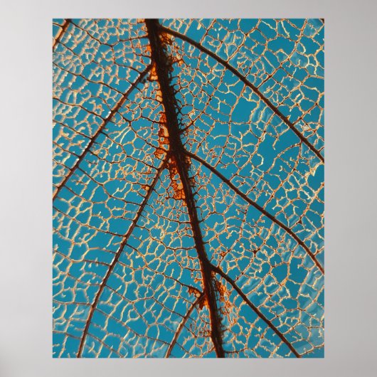 Brown bare tree under blue sky in the morning poster (Vorne)