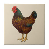 Brown Barnevelt Hen Hühnchen Fliese (Vorderseite)