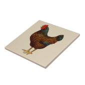 Brown Barnevelt Hen Hühnchen Fliese (Seite)