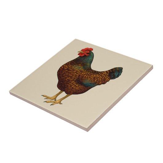 Brown Barnevelt Hen Hühnchen Fliese (Seite)