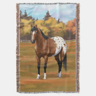 Brown Bay Appaloosa Pferd im Herbst Weide Decke