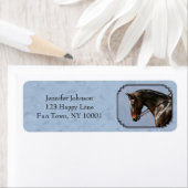 Brown Bay Oldenburg Horse Portrait (Insitu)