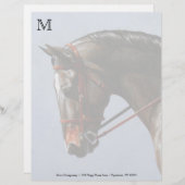 Brown Bay Oldenburg Horse Portrait Briefkopf (Vorne/Hinten)