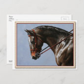 Brown Bay Oldenburg Horse Portrait Postkarte (Vorne/Hinten)