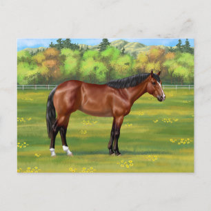 Brown Bay Quarter Horse Postkarte