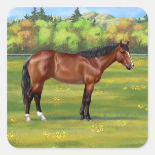 Brown Bay Quarter Horse Quadratischer Aufkleber