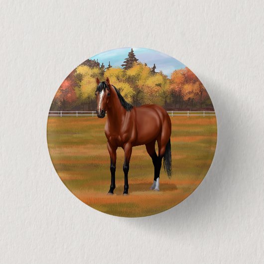Brown Bay Quarter Horse Stallion Button (Vorderseite)