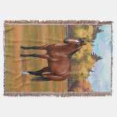 Brown Bay Quarter Horse Stallion Decke (Vorderseite)