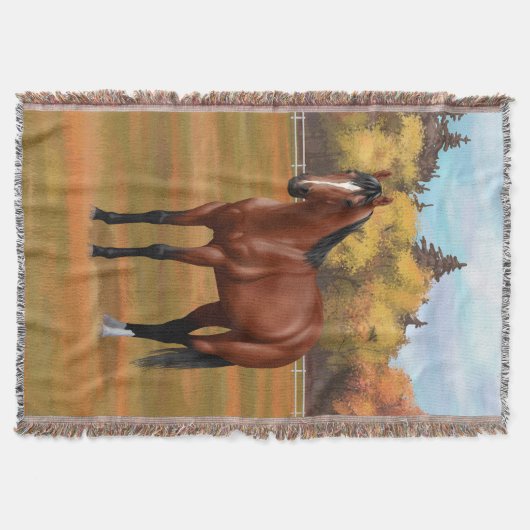 Brown Bay Quarter Horse Stallion Decke (Vorderseite)