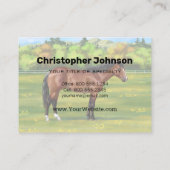 Brown Bay Quarter Horse Visitenkarte (Rückseite)