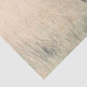 Brown Bay Wild Mustang Horse Seidenpapier (Detail)