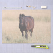 Brown Bay Wild Mustang Horse Seidenpapier (Handwerk)